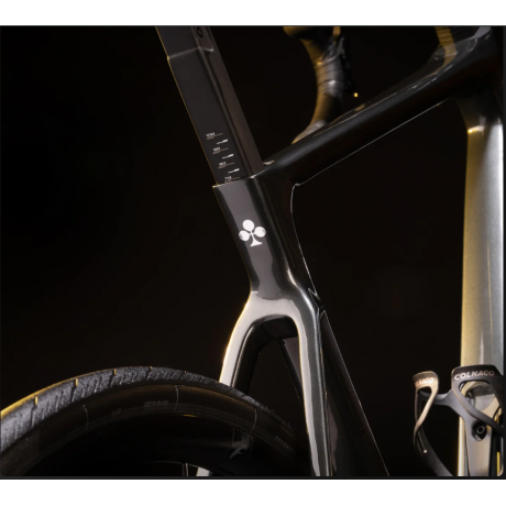 VÉLO DE ROUTE COLNAGO V4 DISC SHIMANO 105 DI2