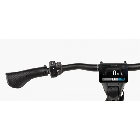 VTC ÉLECTRIQUE RIESE&MULLER HOMAGE5 GT PINION