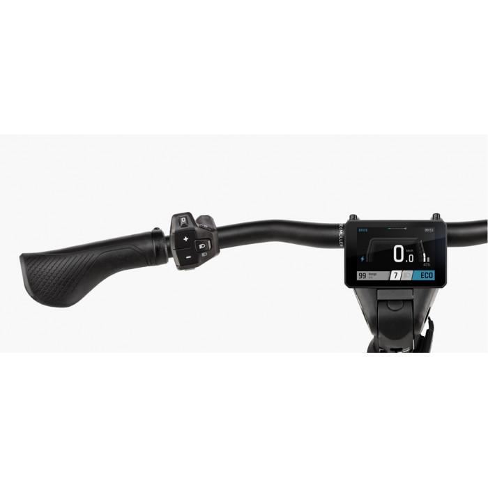 VTC ÉLECTRIQUE RIESE&MULLER HOMAGE5 GT PINION - 2