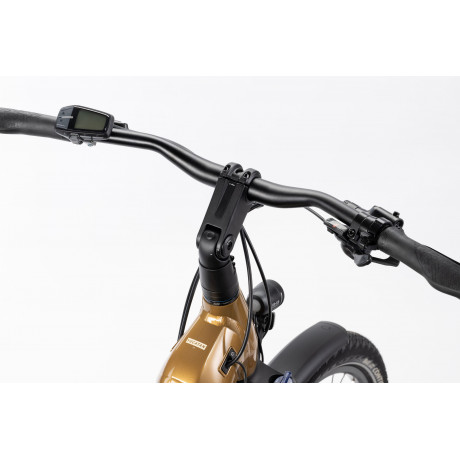 TREKKING ELECTRIQUE WINORA YUCATAN X8 LOW