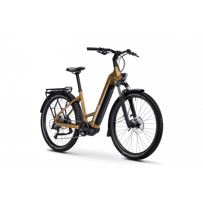 TREKKING ELECTRIQUE WINORA YUCATAN X8 LOW - 1