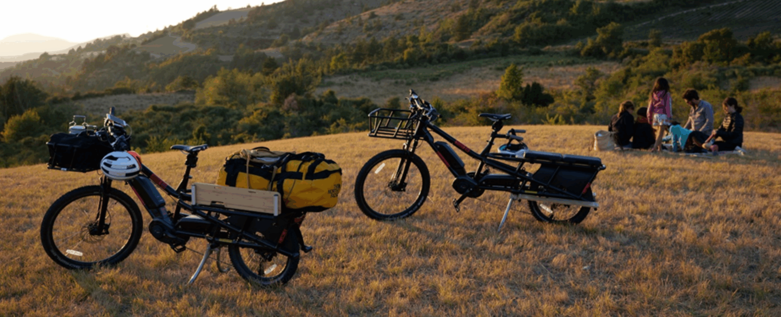 Vivre l’Alsace autrement : pourquoi le longtail séduit de plus en plus de familles locales